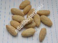 Prunus dulcis (Mill.) D. A. Webb (Amygdalus communis L., Prunus amygdalus)